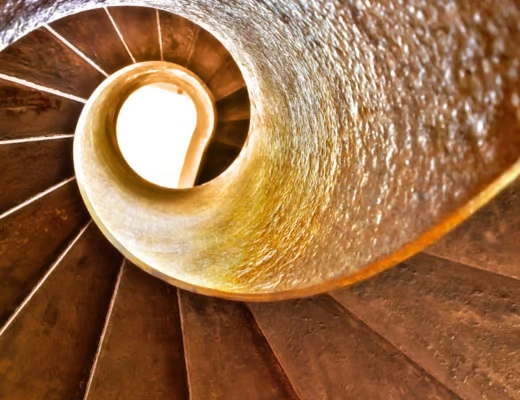 link to proportions resource