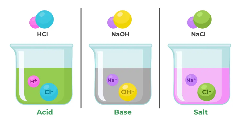 Acids Bases and Salts