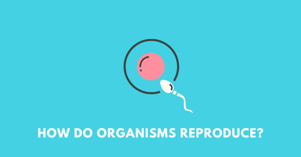 How do organisms reproduce