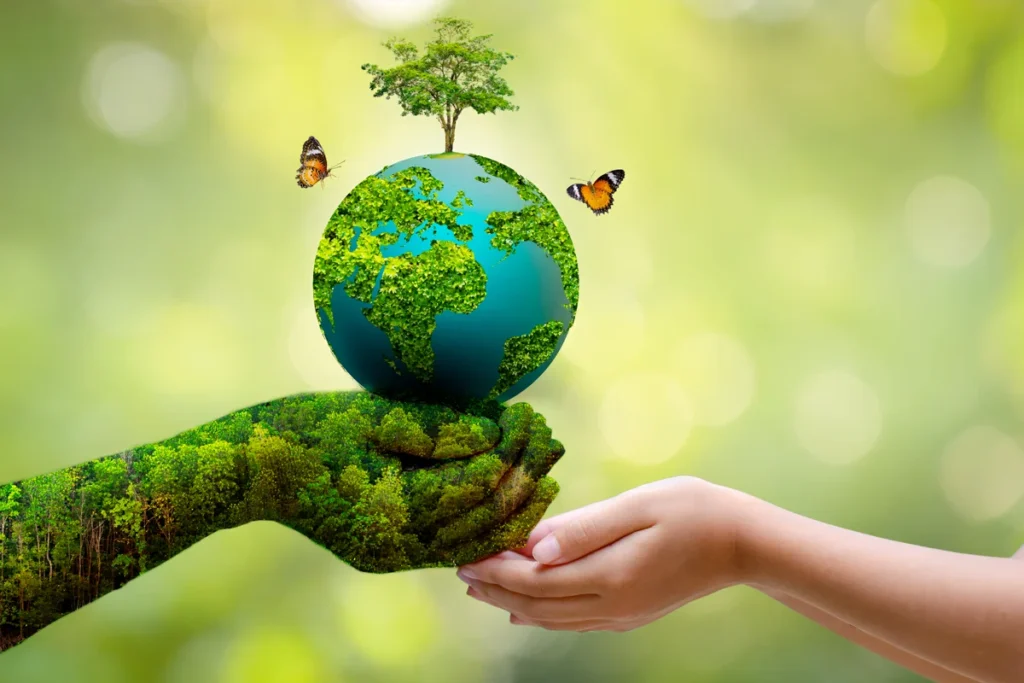 our environment